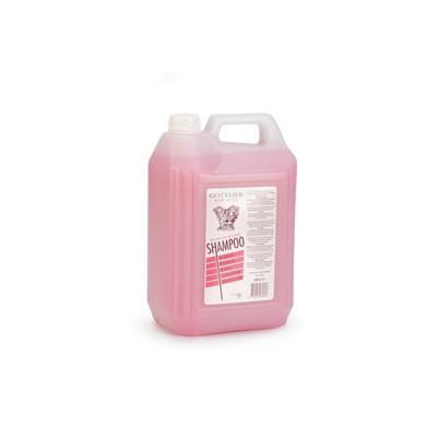 GOTTLIEB SAMPON - KÖLYÖK - 5L